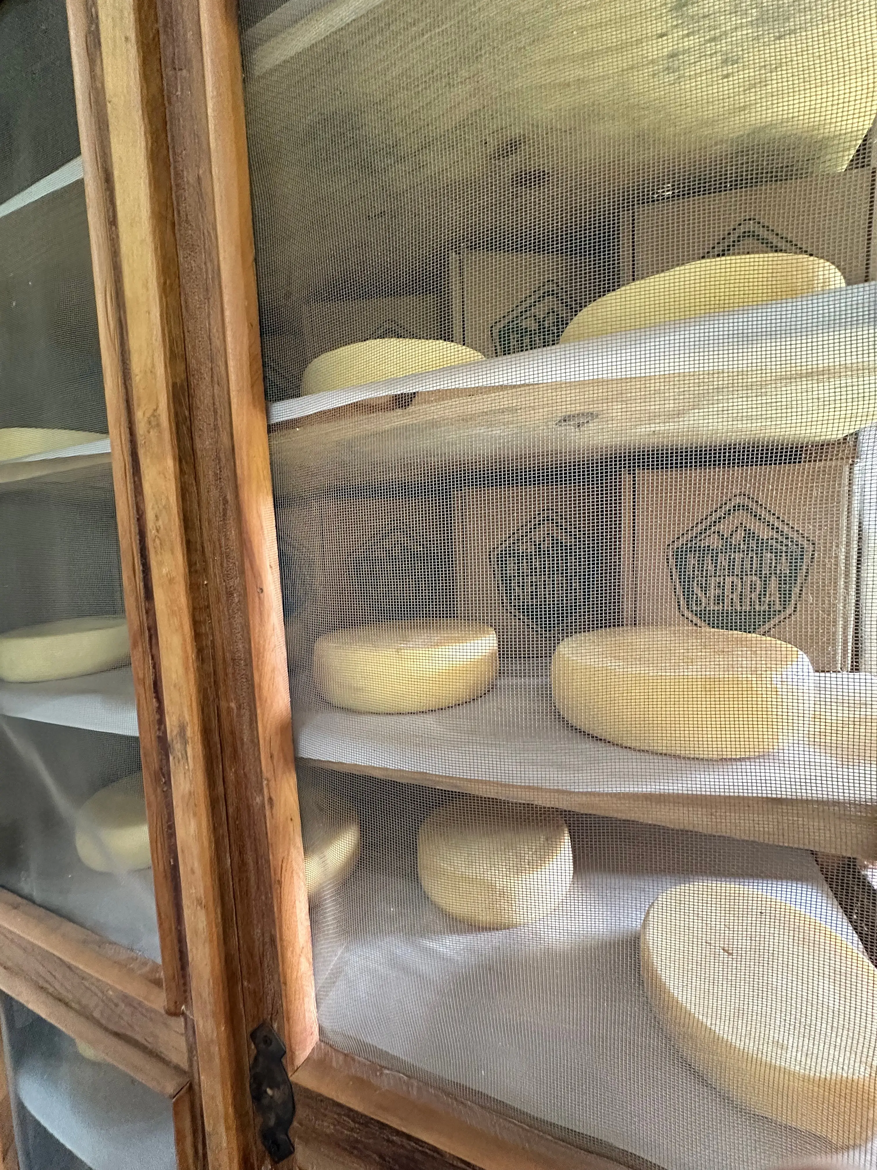 Queijo Canastra artesanal no Armazém Kanto da Serra